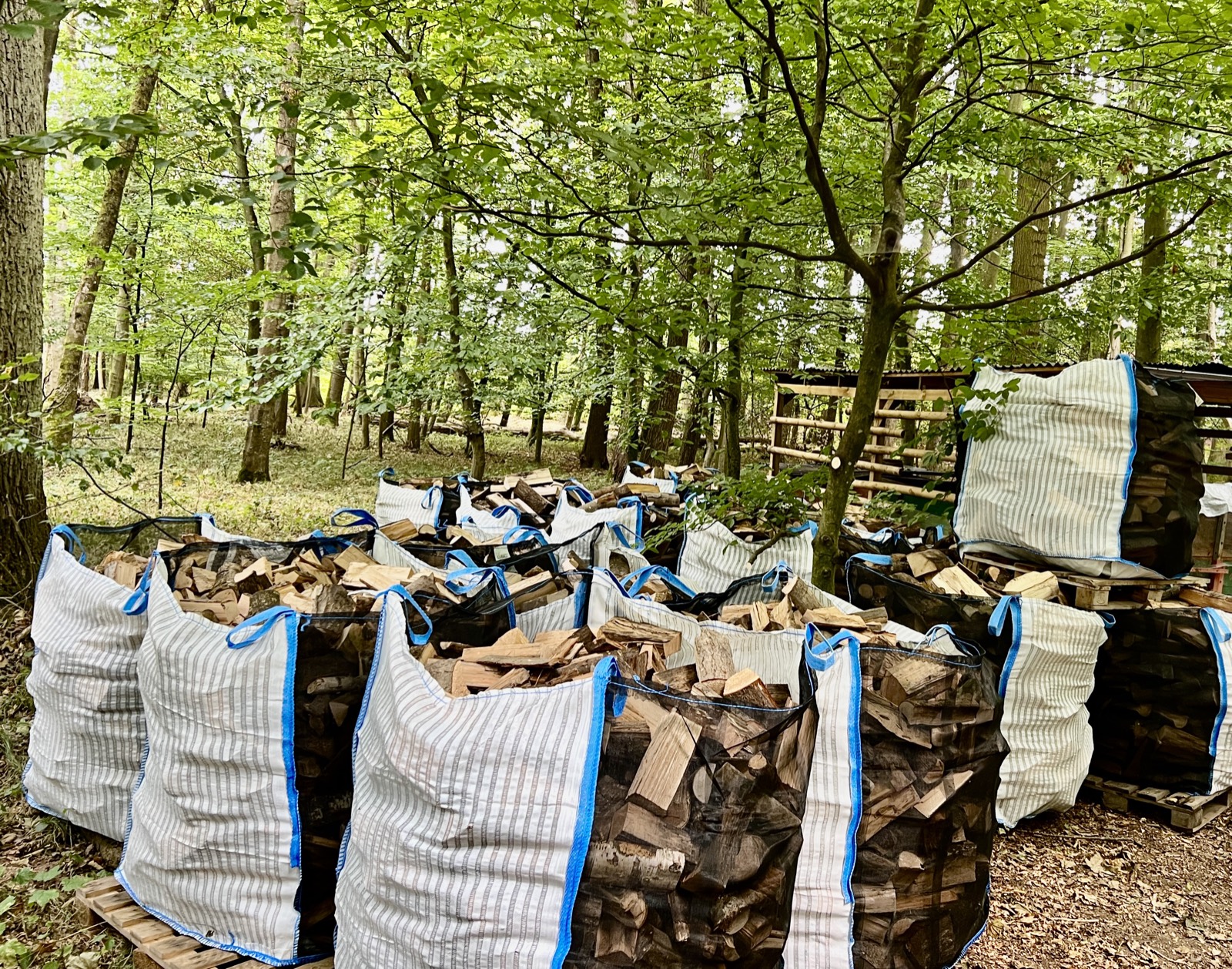 Gefüllte BigBags mit Brennholz auf Paletten im Laubwald